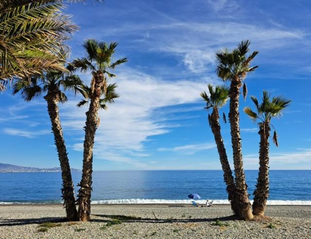 Al Monacar Vistas Al Mar, Parking, Aire Acondicionado Y Wifi *